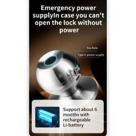 Smart Door Lock, Fingerprint Lock For Home/hotel/office/apartment